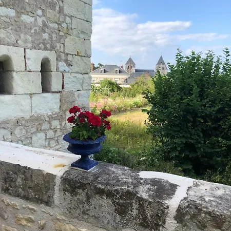Charmant Gite En Rez-De-Jardin Saint-Aignan  Exterior photo